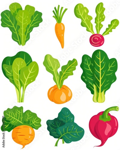 Isolated Vegetable Clipart with Fresh Lettuce Leaves. Nature Inspired Illustration Perfect for Healthy Food and Salad Designs