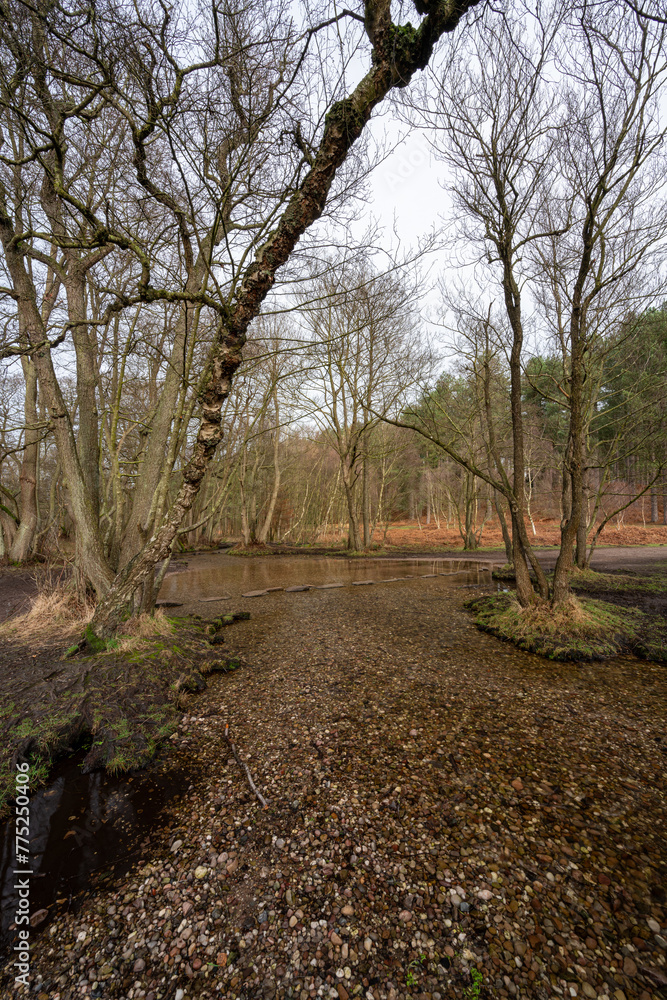 The stepping stones at Sherbrook valley, Cannock Chase, Staffordshire, UK during winter.