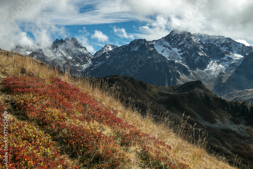 Couleurs d' automne et premières neiges ,avec les myrtilliers ,dans la chaîne de Belledonne , vue sur les Aiguilles d' Argentière et Rocher Badon ,  Isère ,Alpes France