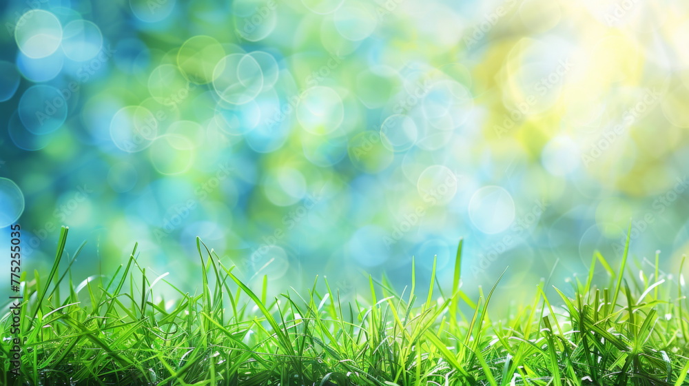 Obraz premium World environment day concept: green grass and blue sky abstract background with bokeh