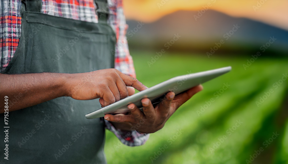 A modern farmer in a corn field using a digital tablet to review harvest and crop performance, ESG concept and application of technology in contemporary agriculture practice