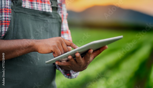 A modern farmer in a corn field using a digital tablet to review harvest and crop performance, ESG concept and application of technology in contemporary agriculture practice © anandart