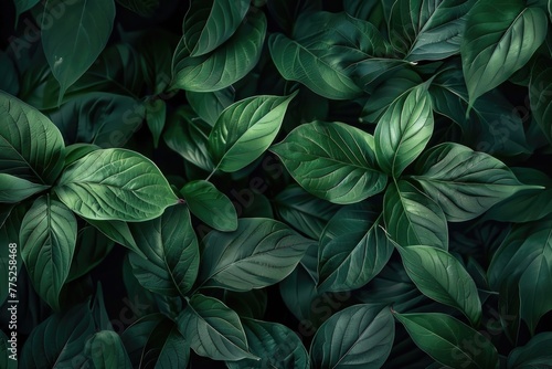 Top view of lush green tropical leaves texture backgrounds © Instacraft.Studio