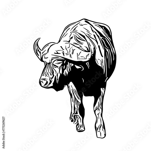 sketch of a buffalo with a transparent background