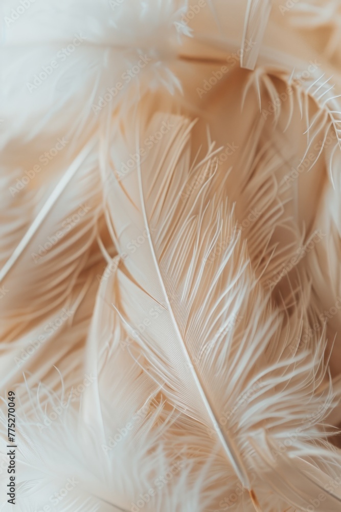 Fototapeta premium A close-up of a bunch of white feathers, suitable for various design projects