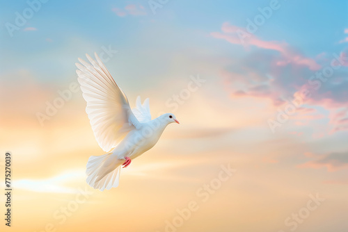 White dove on gradient sky background representing the World Peace Day celebration © Marcelo