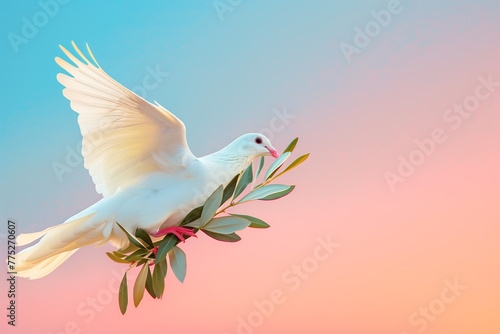 White dove carrying a little olive leaf branch celebrating the World Peace Day celebration photo