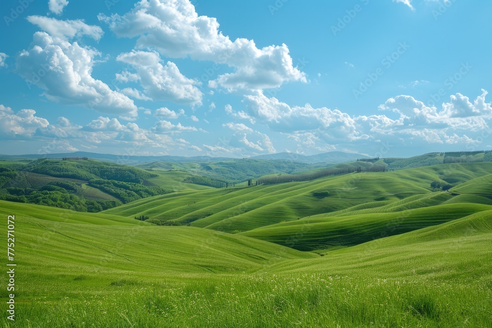 Peaceful green grass field under a clear blue sky. Perfect for nature backgrounds