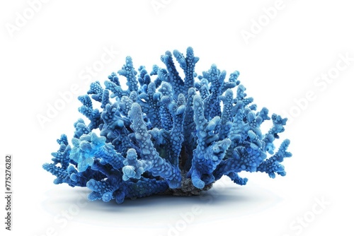 Fototapeta Naklejka Na Ścianę i Meble -  Close up of a blue coral on a white surface. Great for marine-themed designs