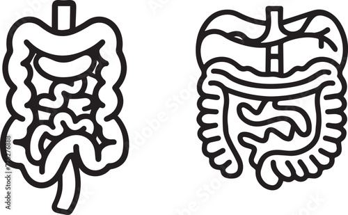 Human digestive system anatomy line icon on white background