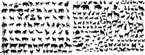animals silhouette set. Big mammals collection. Livestock and poultry icons. Rural landscape. Group of animal of forest or wild. Sea animal and birds photo
