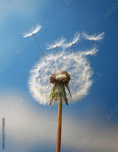 Dandelion Seeds Blowing in the Wind against a Clear Blue Sky  Symbol of Change and New Beginnings