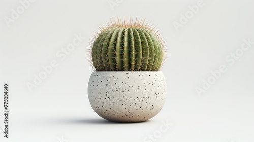  A white background with a green cactus in a white vase and room for text or logo below