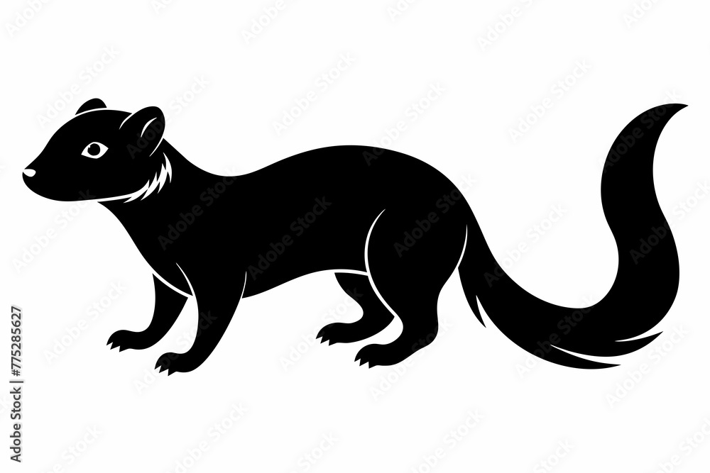 Simple   mongoose, silhouette black vector illustration,  on white  background