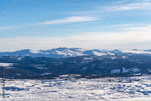 Norwegian Winter