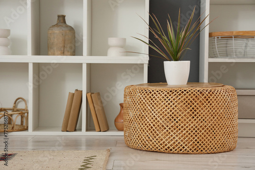 Plant on rattan pouf in living room photo