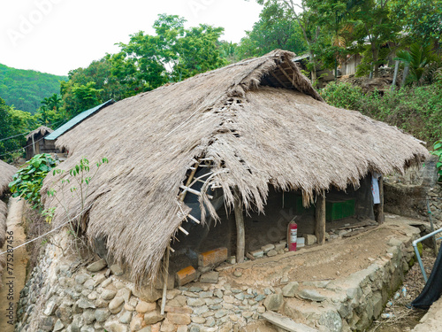 Original village thatched house in Chubao Village, Wuzhishan City, Hainan, China photo