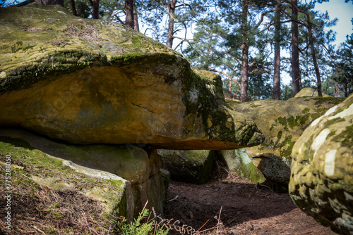 view of a turtle-shaped rock in the Fontainebleau forest © AUFORT Jérome
