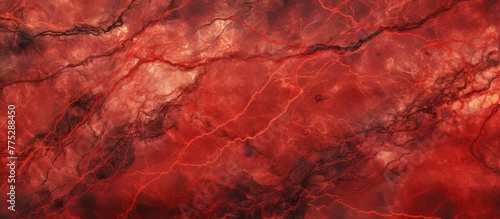 Detailed close-up shot of a vibrant red marble surface featuring an intricate black and white design