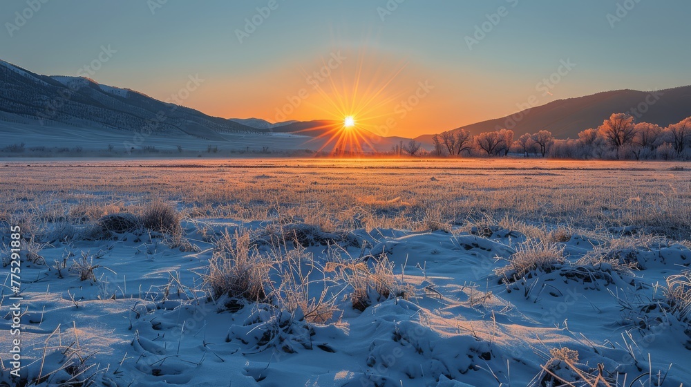   The sun descends on a snow-covered meadow surrounded by towering peaks and swaying trees in the foreground