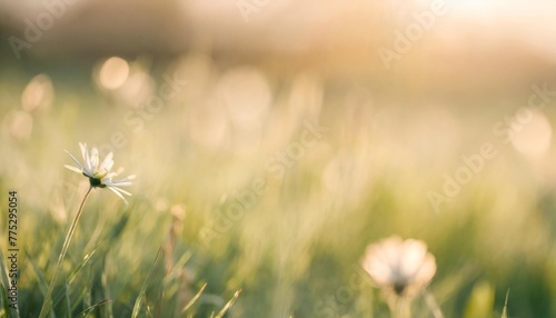 close up selective focus spring nature floral background with copy space blurry organic green landscape bright fresh grass backdrop with place for text ai generative image