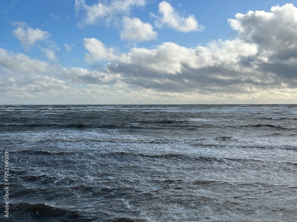 Fototapeta premium the sea and the sky