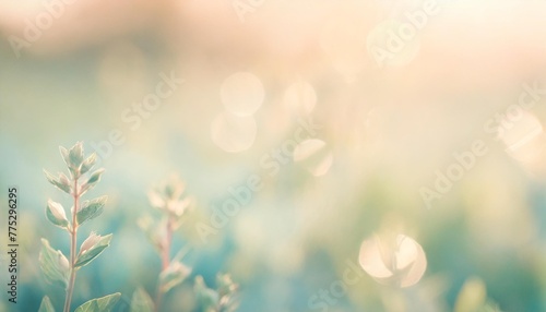 summer and spring template herbal background in gently blue and light green blurred tones summer and spring nature background