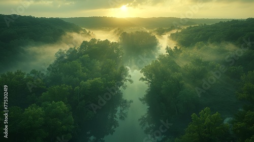  River in forest surrounded by trees, sun shining through distant clouds