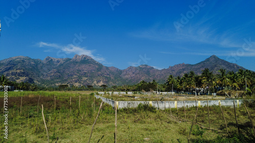 Beautiful paddy field and western ghats mountain range, kanyakumari, Tamil Nadu