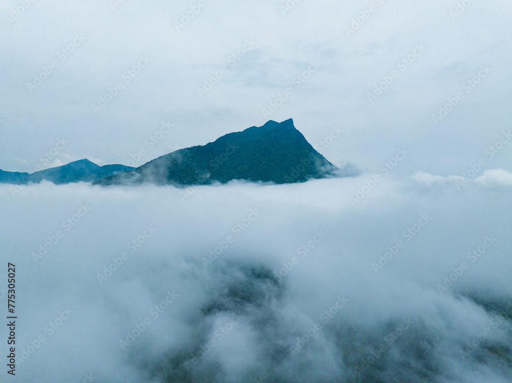 Landscape of tropical rain forest and sea of clouds in Wuzhishan, Hainan, China