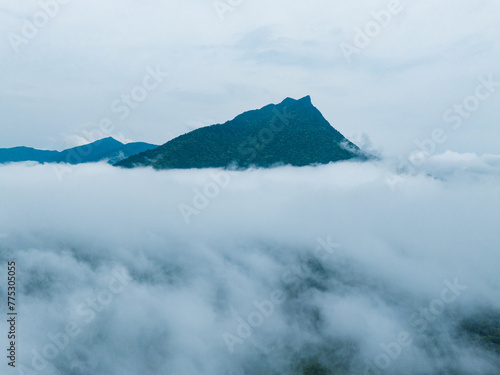 Landscape of tropical rain forest and sea of clouds in Wuzhishan  Hainan  China
