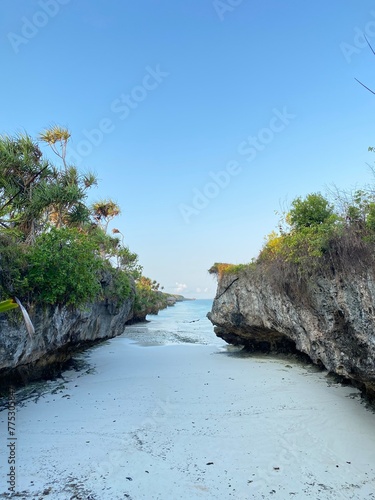 Natural River Path  photo