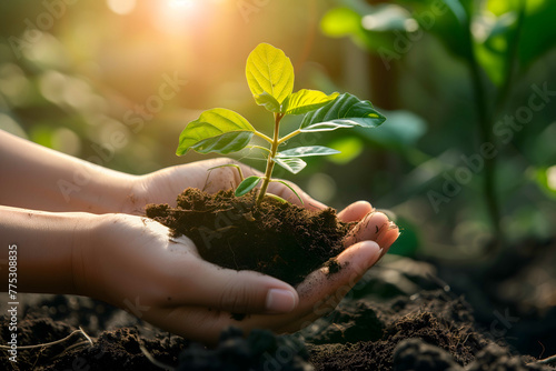 Childs hands holding a young plant seedling in soil, blurry green background