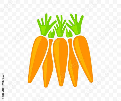 Carrots, vegetable, agriculture, food and meal, graphic design. Harvest, plant, nature, leaf, leaves, nourishment and grocery, vector design and illustration