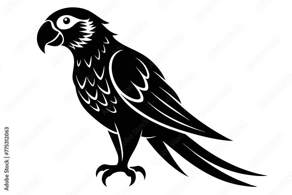 silhouette color image, Parrot bird vector illustration,white background