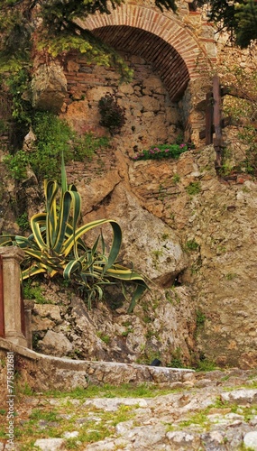 Una nicchia nell'antico muro di pietra e pianta aloe, Toscana, Italia photo