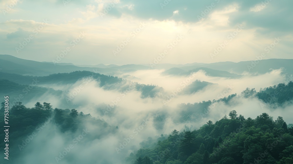   A dense green forest shrouded in fog in the background reveals a mountain range with low-lying clouds