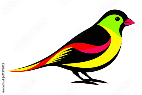 silhouette color image,Canary ,vector illustration,white background