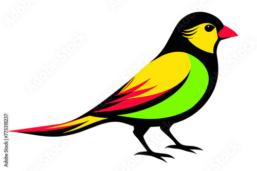 silhouette color image,Canary ,vector illustration,white background