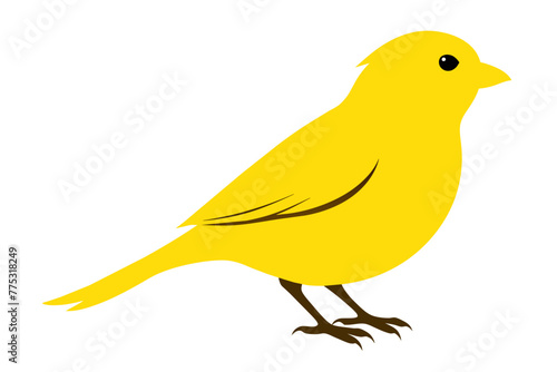 silhouette color image,Canary ,vector illustration,white background