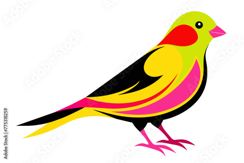 silhouette color image,Canary ,vector illustration,white background