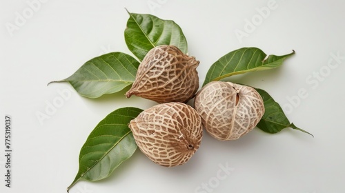 Closeup of dried betel nuts and green leaves, representing organic and natural Asian chewable stimulants
