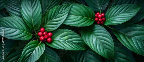   A detailed view of a plant with red berries on its leaves and green leaves bearing red fruit