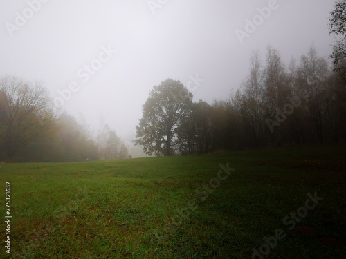 misty morning landscape. Foggy morning on the mountain