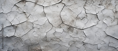 Detailed view of a white wall with visible cracks against a backdrop of black and white tones, creating a striking contrast in the image