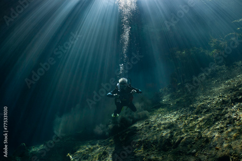 diver and sunbeams
