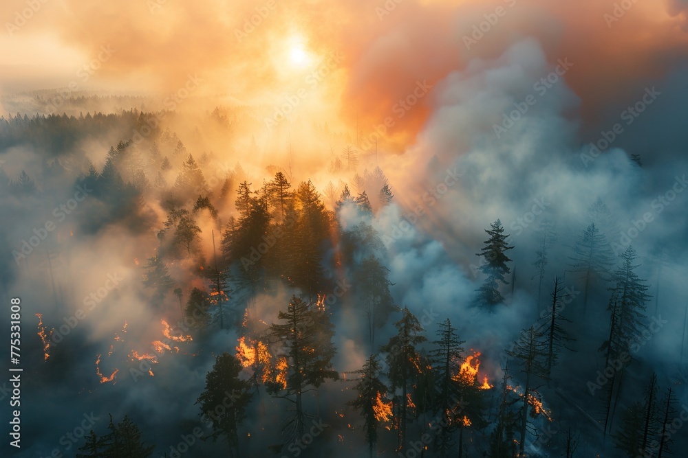 Obraz premium fire burning forest view from above