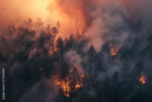 fire burning forest view from above