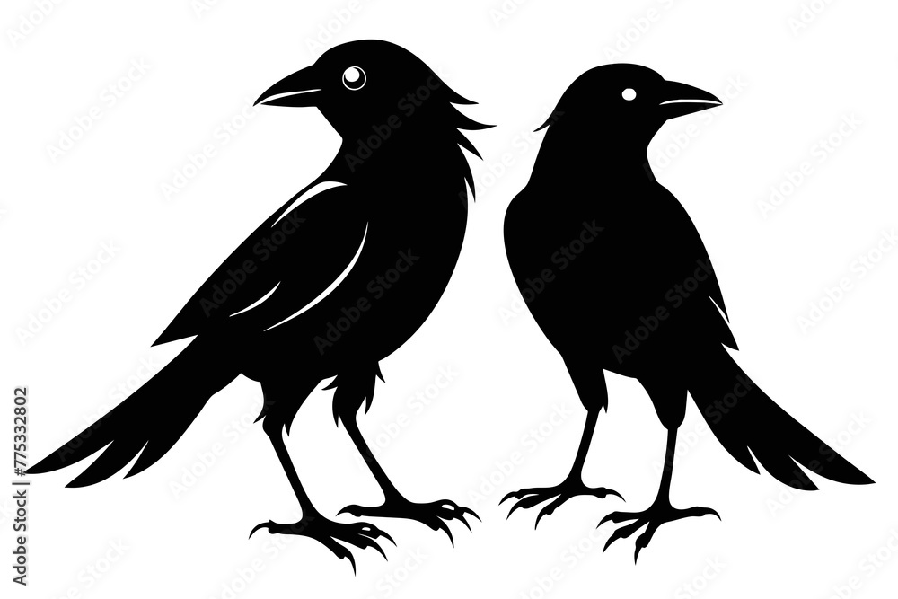 Fototapeta premium silhouette image,Crow Jay bird,vector illustration,white background