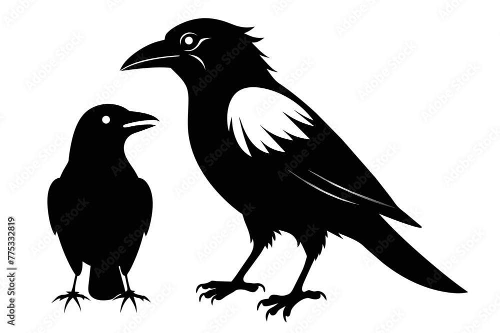 silhouette image,Crow Jay bird,vector illustration,white background silhouette image,Crow Jay bird,vector illustration,white background